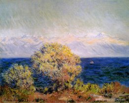 En Cap d'Antibes, viento mistral En Cap d'Antibes, viento mistral