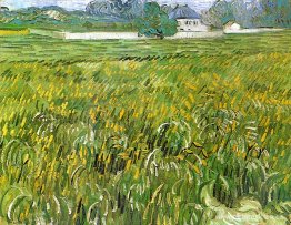 Campo de trigo en Auvers con la Casa Blanca Campo de trigo en Auvers con la Casa Blanca