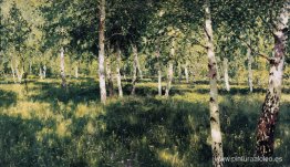 bosque de abedules bosque de abedules