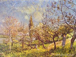 Huerto en primavera Huerto en primavera