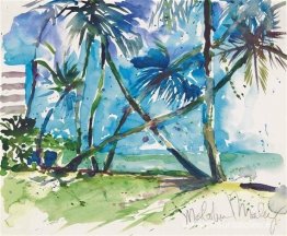 Cayo Vizcaíno Florida Cayo Vizcaíno Florida