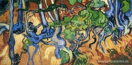 Raíces de los árboles Raíces de los árboles