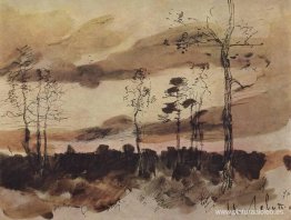 Atardecer. Borde del bosque. Atardecer. Borde del bosque.