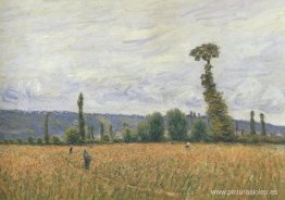 Las colinas de La Bouille Las colinas de La Bouille