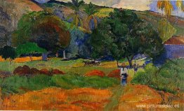 el pequeño valle el pequeño valle