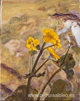 Recuerdo de Kingcups de Glen Artney Recuerdo de Kingcups de Glen Artney