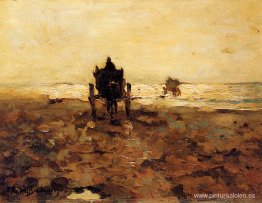 Carros con estantes Carros con estantes