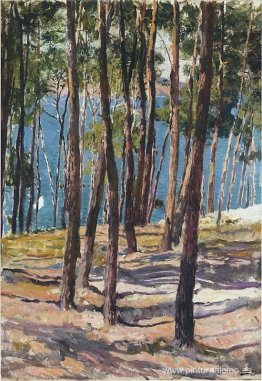 Pinos Pinos