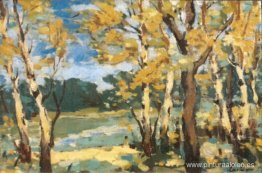 Bosques de otoño Bosques de otoño