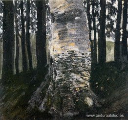 Abedul en un bosque Abedul en un bosque