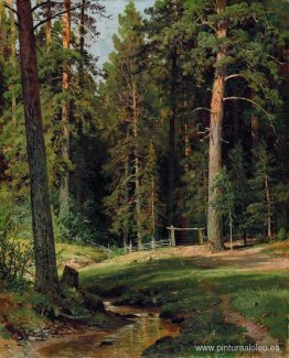 Borde del bosque Borde del bosque