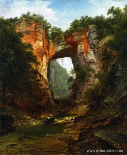 Puente Natural Puente Natural