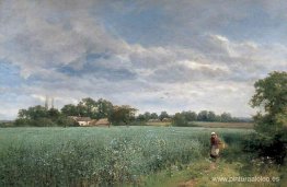 Un campo de frijoles en Pickersleigh, cerca de Malvern, Worceste Un campo de frijoles en Pickersleigh, cerca de Malvern, Worceste