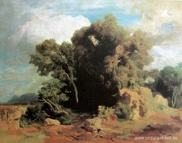 En los pantanos pontinos En los pantanos pontinos