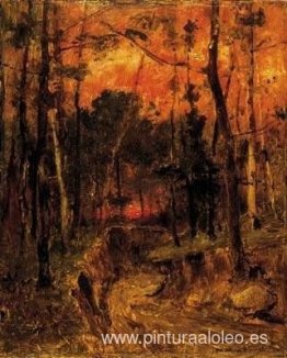 Atardecer en el bosque Atardecer en el bosque