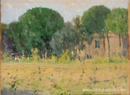 Bosque de pinos de Vareggio Bosque de pinos de Vareggio