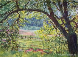 Luz y aire Luz y aire