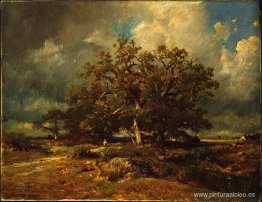 El viejo roble El viejo roble