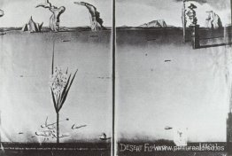 Flor en el desierto Flor en el desierto