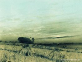 Campo de rastrojo Campo de rastrojo