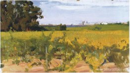 Afueras de Sevilla Afueras de Sevilla