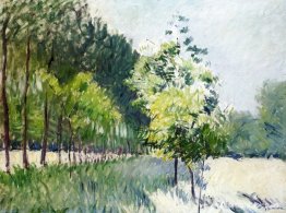 Huerto y avenida de árboles Huerto y avenida de árboles