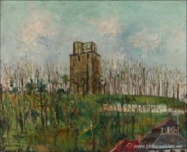 Calle Torreón Calle Torreón