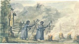 en la plantación en la plantación