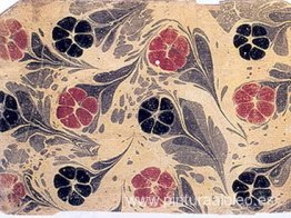 Biblioteca de Süleymaniye Biblioteca de Süleymaniye