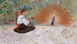 Cuento de una niña y un pavo real Cuento de una niña y un pavo real