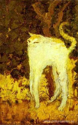 El gato blanco El gato blanco