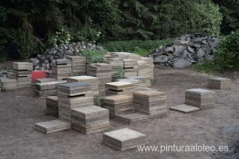 Sin arar (detalle) Sin arar (detalle)