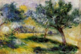 Paisaje Paisaje