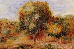 Paisaje de Cagnes Paisaje de Cagnes