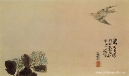 Un pequeño cuco sobre una hortensia (Haiga) Un pequeño cuco sobre una hortensia (Haiga)