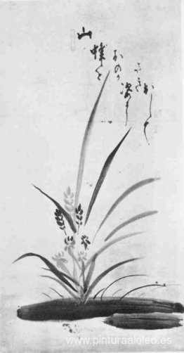 orquídea y abeja orquídea y abeja