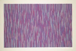 picnic rojo picnic rojo