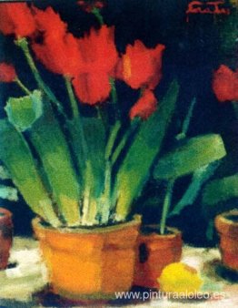 tulipanes tulipanes