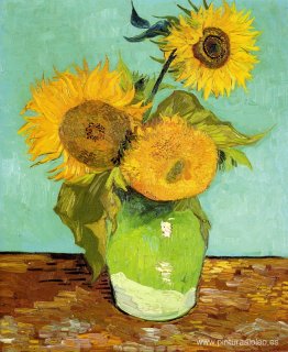 Girasoles Girasoles