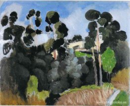 Paisaje Paisaje
