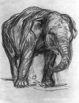 Elefante Elefante