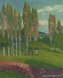 Álamos en primavera Álamos en primavera