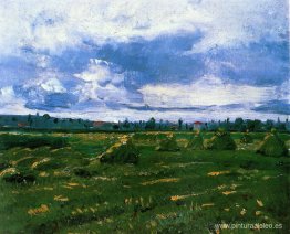 Campos de trigo con pilas Campos de trigo con pilas