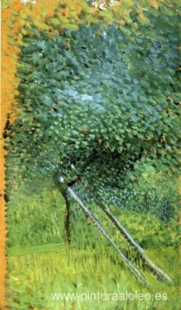 Árbol con escalera Árbol con escalera