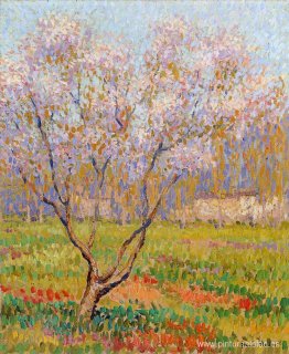 árboles en flor árboles en flor