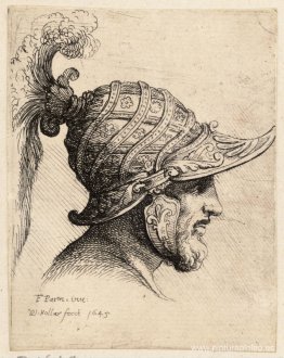 Casco cruzado con tiras curvas y rosetas. Casco cruzado con tiras curvas y rosetas.