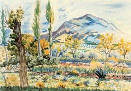 Paisaje de Fique Paisaje de Fique