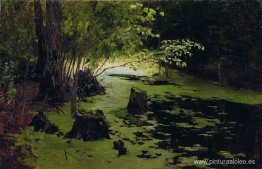 Margen de agua (un estanque) Margen de agua (un estanque)