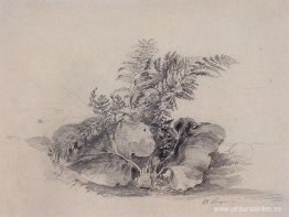 Hojas de helecho y bardana. Hojas de helecho y bardana.