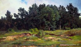 Robledal en un día gris Robledal en un día gris